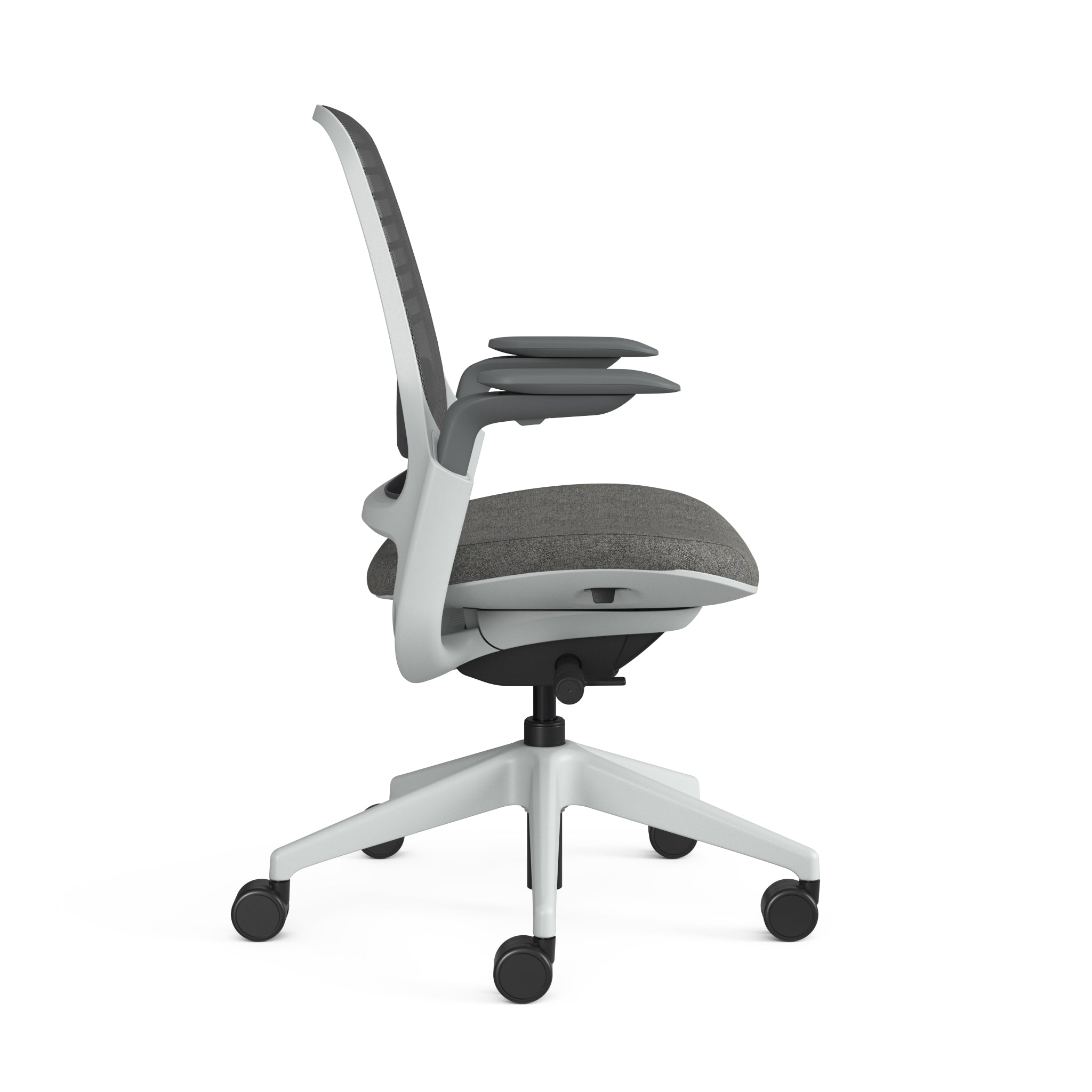 Dark Grey; Seagull Frame